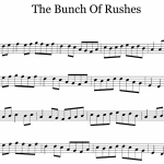 Bunch-Of-Rushes