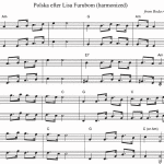 Polska-efter-Lisa-Furubom-(harmonized)